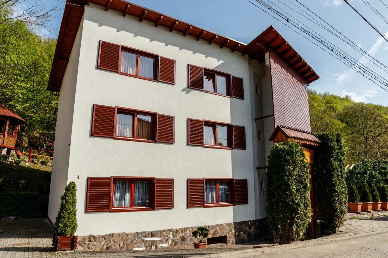 ソバタ Pensiunea Eva Bed & Breakfast エクステリア 写真